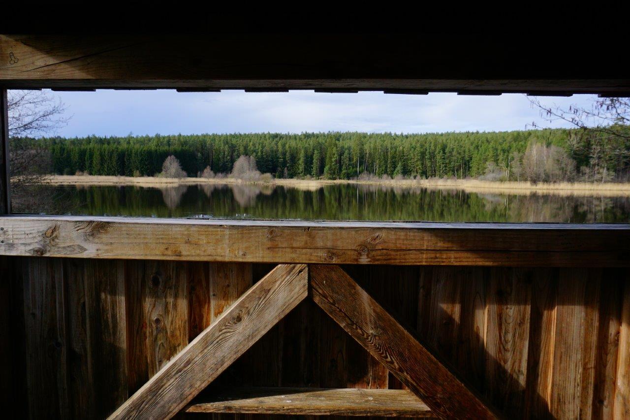 Aussicht