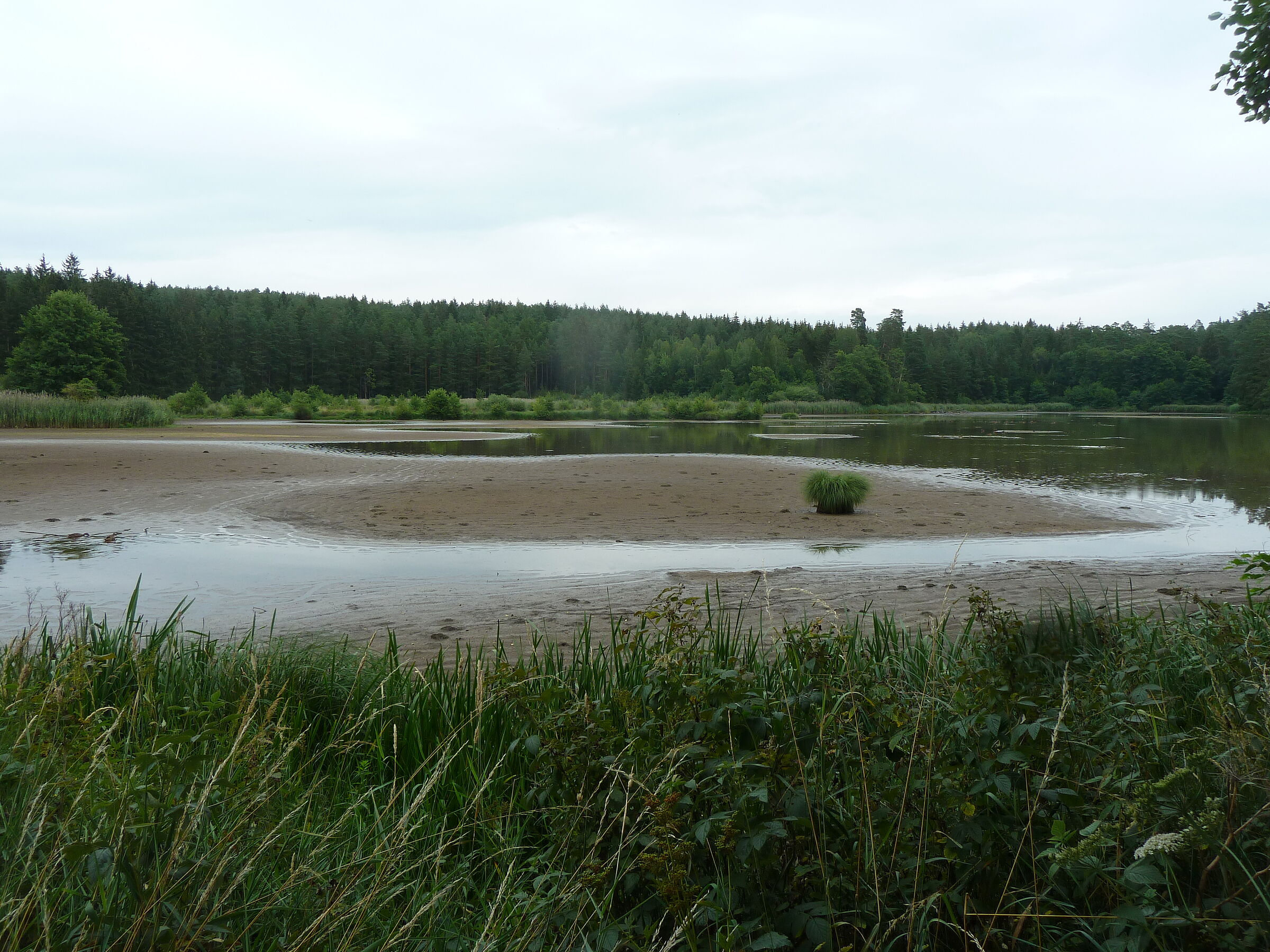 Niedrigwasser am Kammerweiher